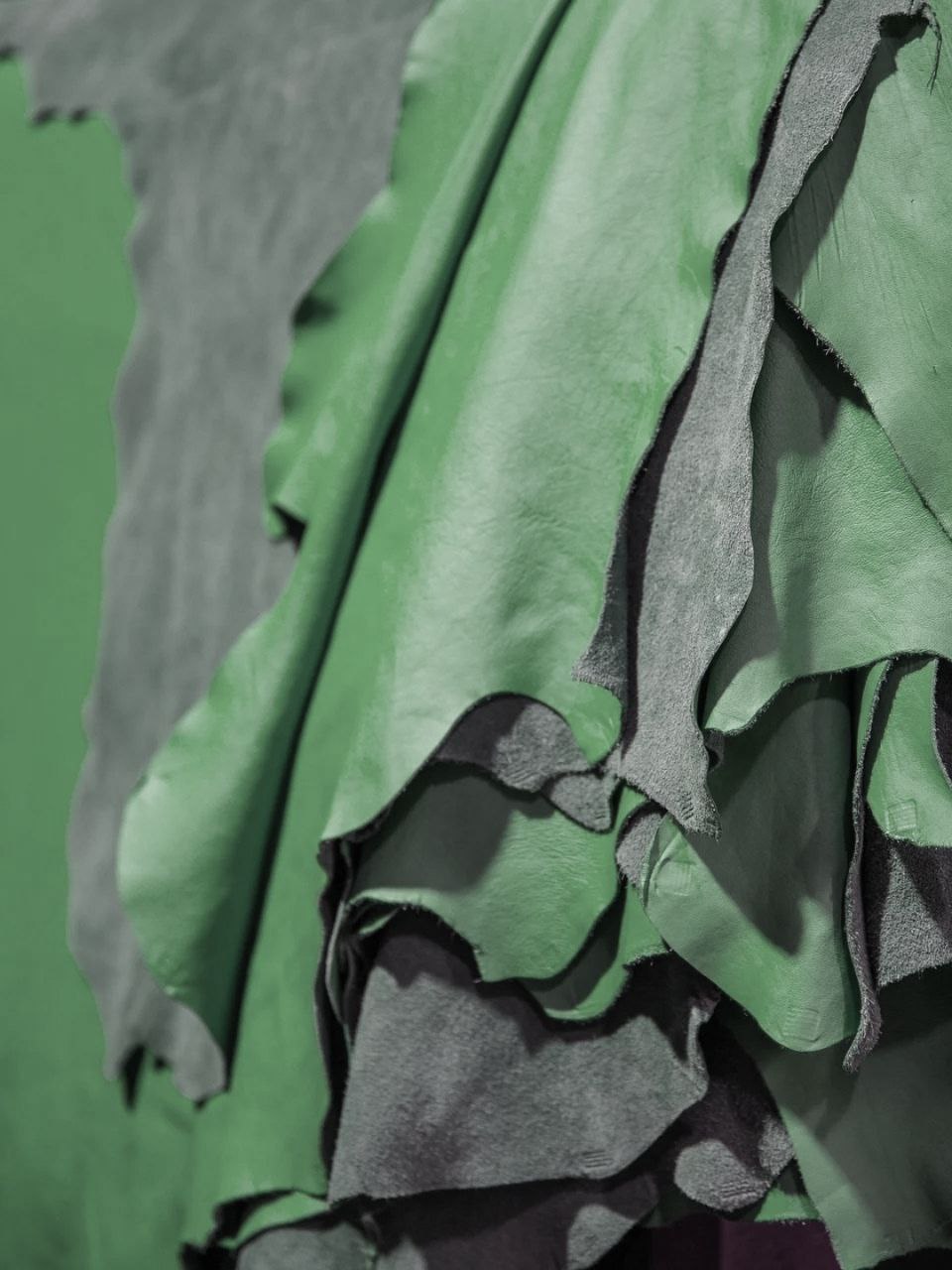 photo_5427338138465989769_y